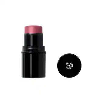 Holland & Barrett Dr. Hauschka Lip to Cheek Blush Stick 03 Rosewood - 6.1g aanbieding