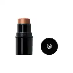Holland & Barrett Dr. Hauschka Lip to Cheek Blush Stick 04 Gold - 6.1g aanbieding