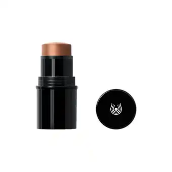 Holland & Barrett Dr. Hauschka Lip to Cheek Blush Stick 04 Gold - 6.1g aanbieding