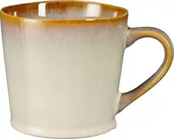 Intratuin Mica Decorations mok Racco beige 490 ml aanbieding