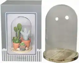 Intratuin Glazen stolp transparant D 22 H 30 cm aanbieding