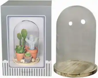 Intratuin Glazen stolp transparant D 22 H 30 cm aanbieding