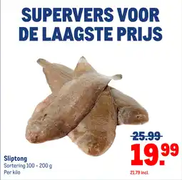 Makro Sliptong Sortering aanbieding