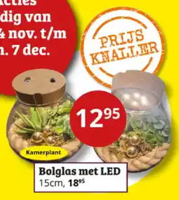 Tuinland Bolglas met LED aanbieding