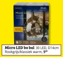 Tuinland Micro LED bo bal aanbieding