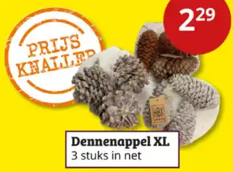 Tuinland Dennenappel XL aanbieding
