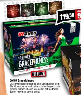 Vuurwerk Bull 06457 Gracefulness aanbieding