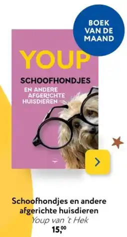 Primera Schoofhondjes en andere afgerichte huisdieren aanbieding