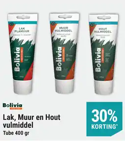 Pontmeyer Lak, Muur en Hout vulmiddel aanbieding