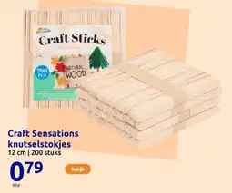 Action Craft Sensations knutselstokjes aanbieding