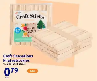 Action Craft Sensations knutselstokjes aanbieding