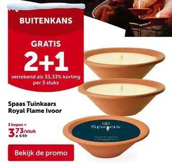 Aveve Spaas Tuinkaars Royal Flame Ivoor aanbieding