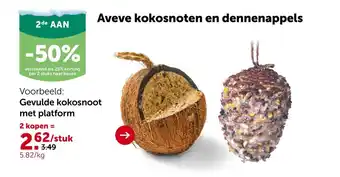 Aveve Aveve kokosnoten en dennenappels aanbieding