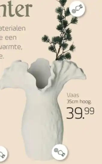 Coppelmans Vaas aanbieding