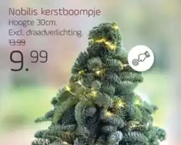 Coppelmans Nobilis kerstboompje aanbieding