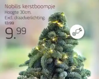 Coppelmans Nobilis kerstboompje aanbieding
