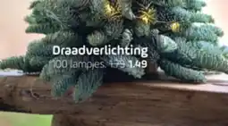Coppelmans Draadverlichting 100 lampjes aanbieding