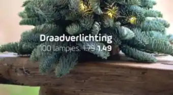 Coppelmans Draadverlichting 100 lampjes aanbieding