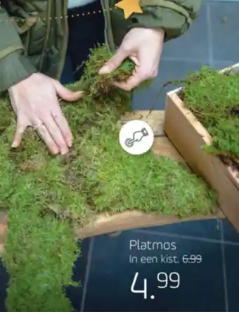 Coppelmans Platmos aanbieding