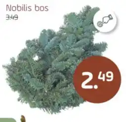 Coppelmans Nobilis bos aanbieding