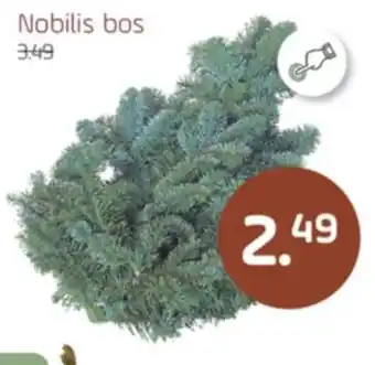 Coppelmans Nobilis bos aanbieding