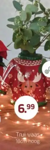 Coppelmans Trui vaas aanbieding