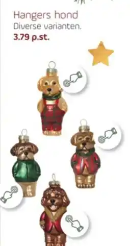 Coppelmans Hangers hond aanbieding