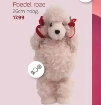 Coppelmans Poedel roze aanbieding