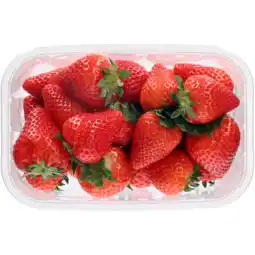 Dirk 1 de Beste Aardbeien aanbieding