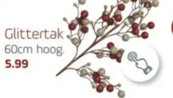 Coppelmans Glittertak aanbieding