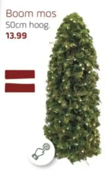 Coppelmans Boom mos aanbieding