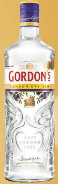 Mitra Gordon's London Dry Gin aanbieding