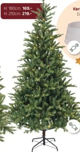 Coppelmans Allison pine switch prelit aanbieding