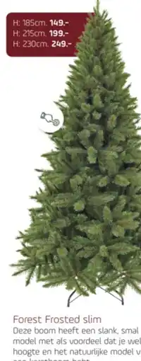 Coppelmans Forest Frosted slim aanbieding