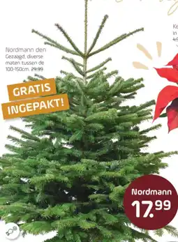 Coppelmans Nordmann den aanbieding