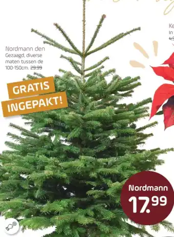 Coppelmans Nordmann den aanbieding