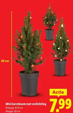 Lidl Mini kerstboom met verlichting aanbieding