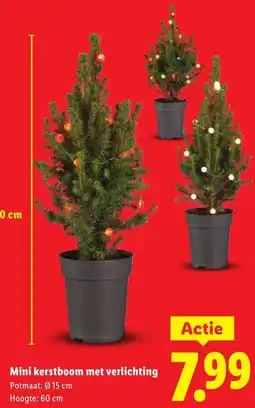 Lidl Mini kerstboom met verlichting aanbieding