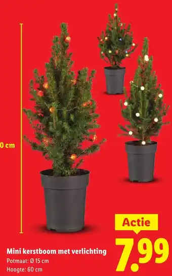 Lidl Mini kerstboom met verlichting aanbieding