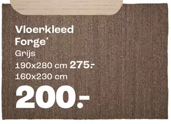 Kwantum Vloerkleed Forge aanbieding
