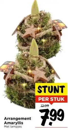 Vomar Voordeelmarkt Arrangement Amaryllis aanbieding