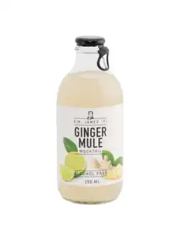 Albert Heijn Sir. James 101 Ginger mule aanbieding