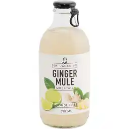 Albert Heijn Sir. James 101 Ginger mule aanbieding