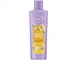 De Online Drogist Andrelon Shampoo Perfecte Krul aanbieding