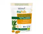 De Online Drogist Ladrôme Propolis Ravintsara Gommetjes Bio aanbieding
