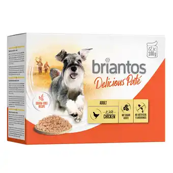 Zooplus Briantos Delicious Paté 12 x 100 g - Kip aanbieding