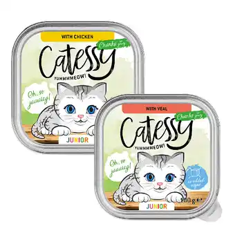 Zooplus 32x 100g Catessy Junior Hapjes in Saus Mix (2 soorten) nat kattenvoer aanbieding
