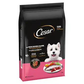 Zooplus Dubbelpak: 2x7kg Cesar Adult met kip, zalm en groenten droogvoer voor honden aanbieding