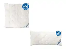 Lidl BeCo Hoofdkussen EcoWell - katoen (80 x 80 cm) aanbieding