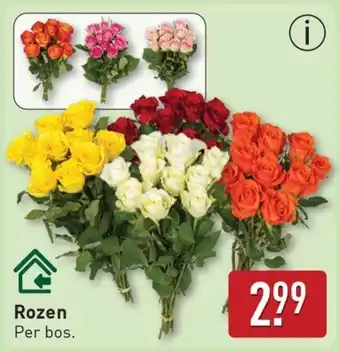 ALDI Rozen aanbieding